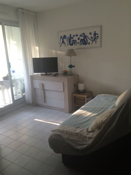 Appartement très bien équipé très lumineux - canapé lit matelas très confort en 1.40