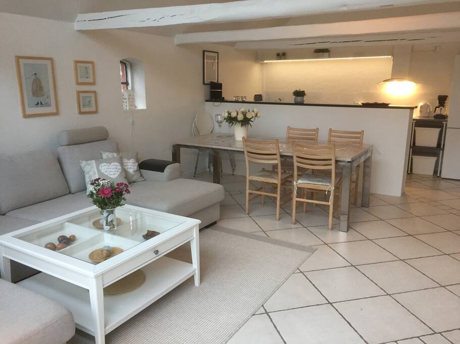 Stor stue med køkkenniche/big living room whit kitchen