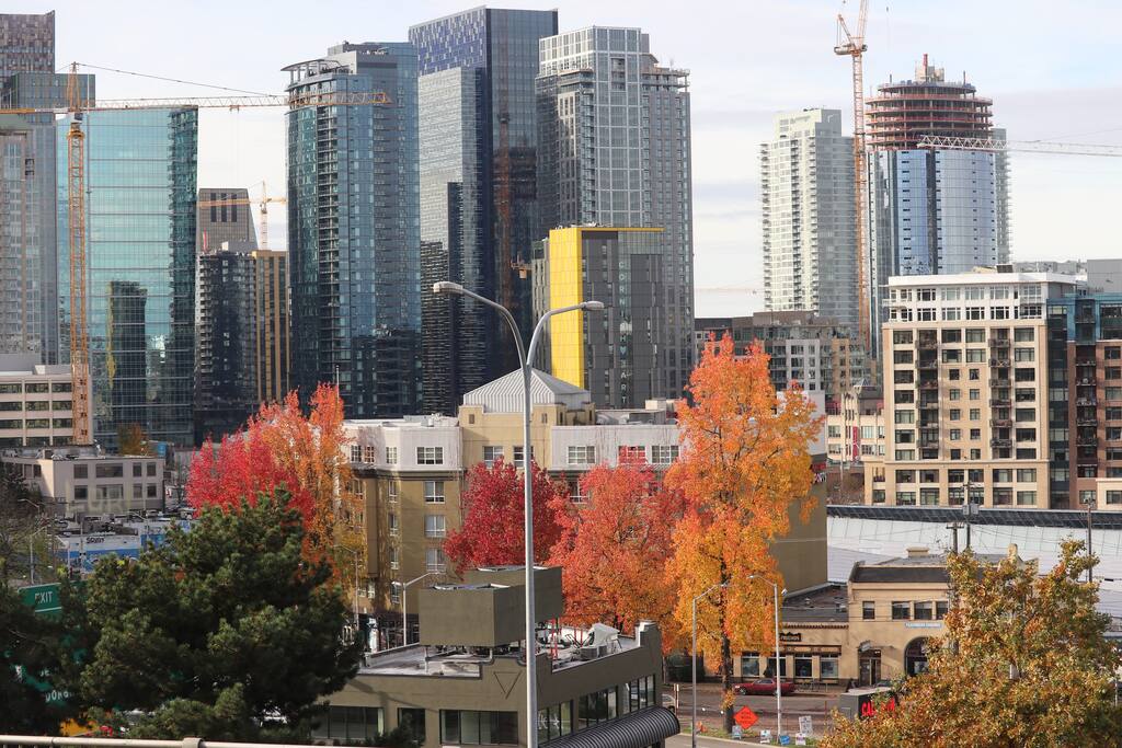 Seattle and Space Needle, day time, living room