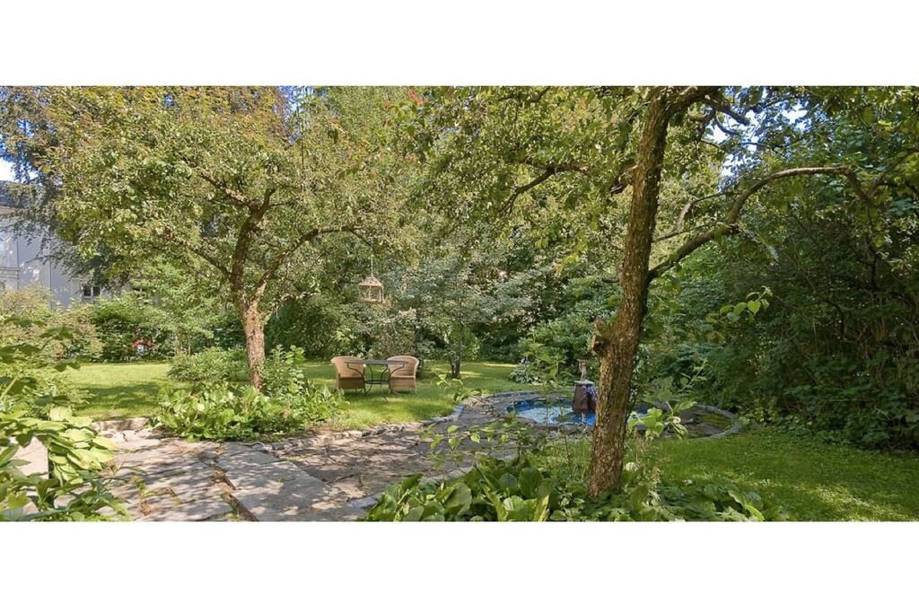 Beautiful and quiet garden