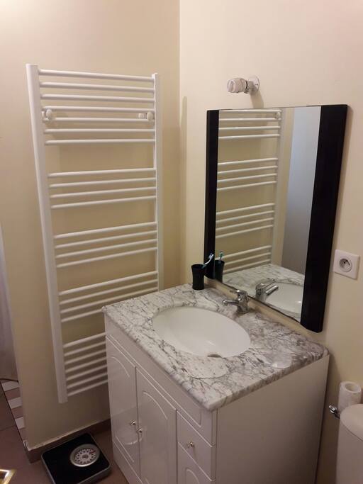 Salle de bain équipée d'une douche a l'italienne, 1 sèche serviette, lavabo, toilette et rangement.