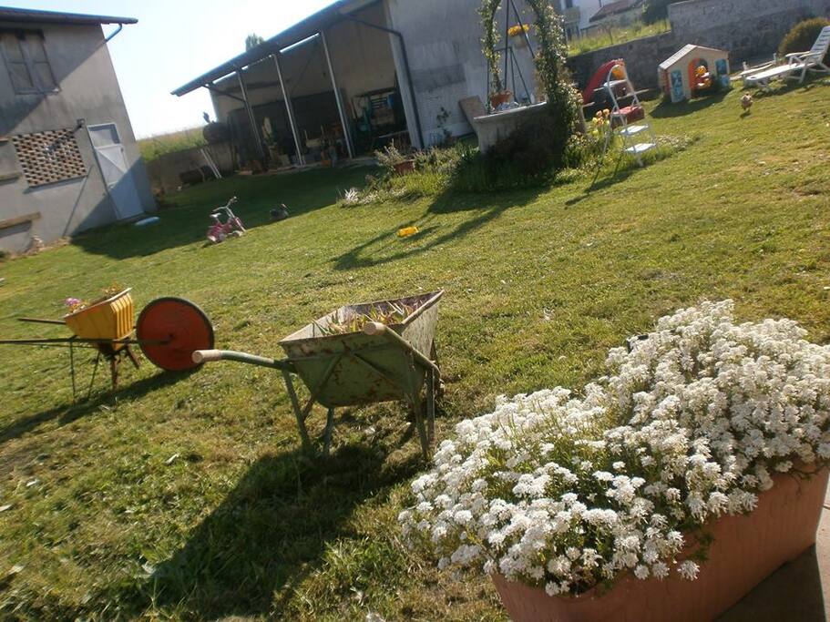 The garden.