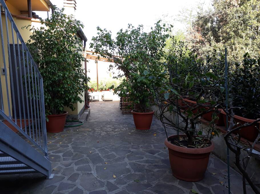 Passaggio solo x gli ospiti x andare al barbecue e salire sulle terrazze...