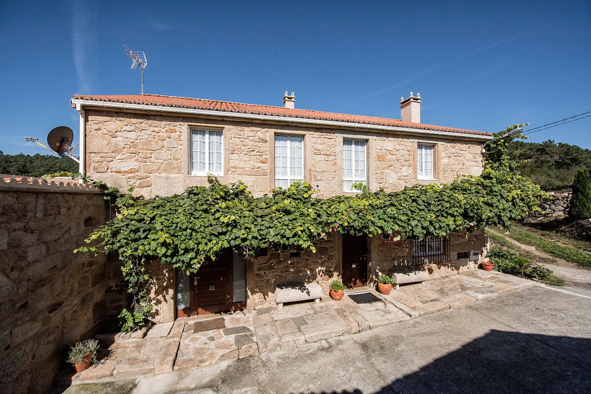 A traditional Galician house with rustic stone walls is showcased under a clear blue sky. The exterior features climbing vines and terracotta pots with greenery, enhancing the natural surroundings. The entrance is marked by wooden doors, revealing a welcoming atmosphere.