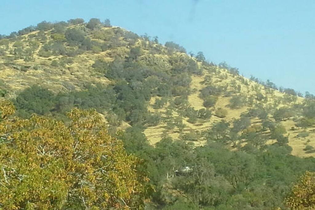 Mountain views from your very own primitive site.