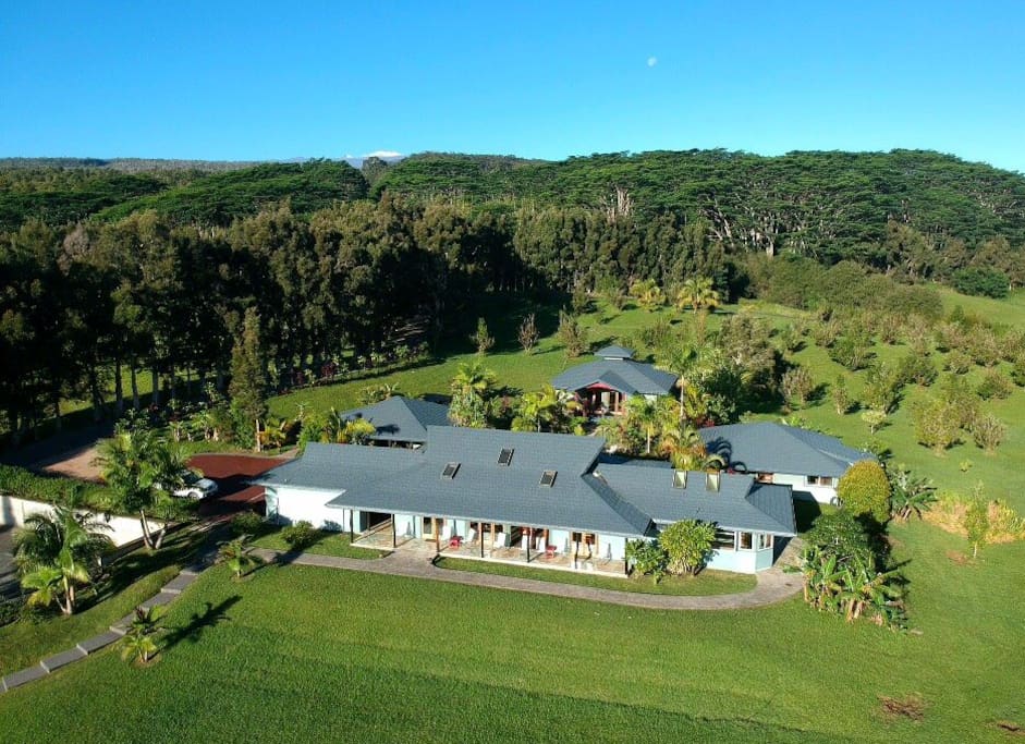 Aloha, welcome to Big Island B&B Hawaiʻi alongside Mauna Kea and Honomu waterfalls.