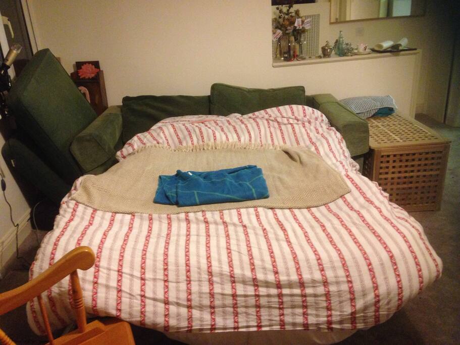 The bed, pulled out.