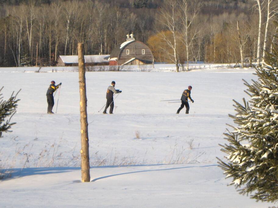 Warming up for the Birkiebiener in the big field