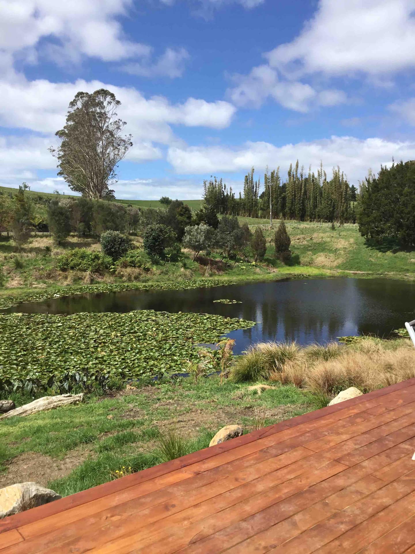 Flaxpod Kerikeri 2 Bedroom 4