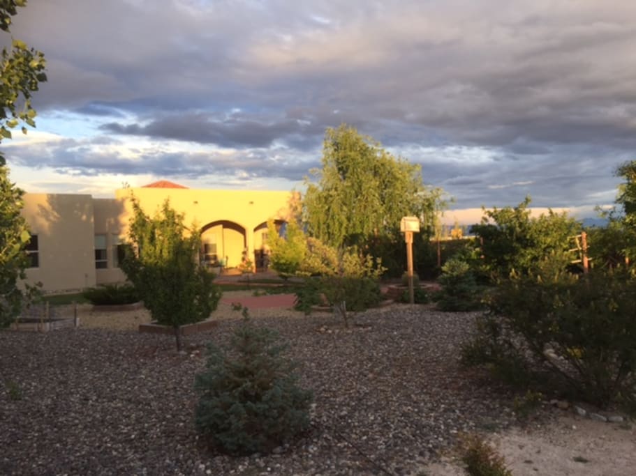 Backyard