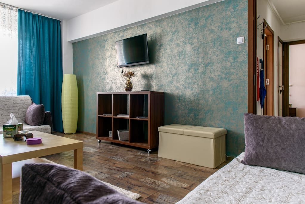 Another view of the living room that can be turned into a second bedroom with 2 extensible couches
