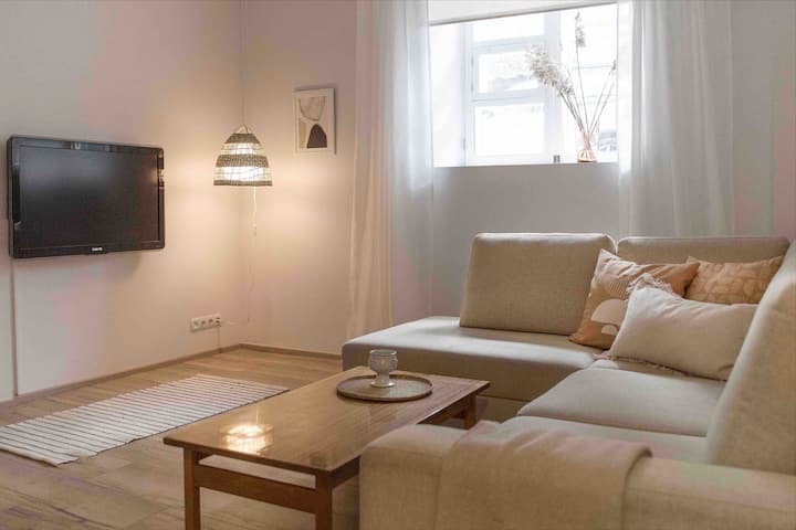 Charming One Bedroom Apartment In Central Tallinn - Tallin