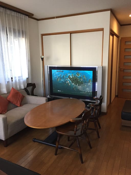 Living room with big television