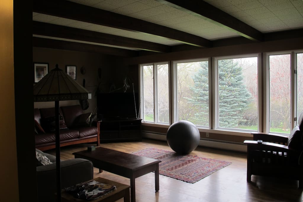 Spacious living room