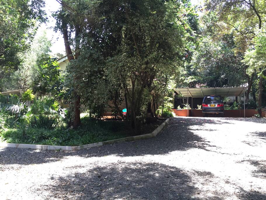 Driveway after gate looking at House on left.