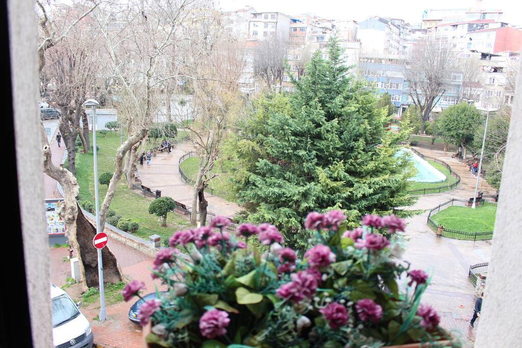 Garden View during the day