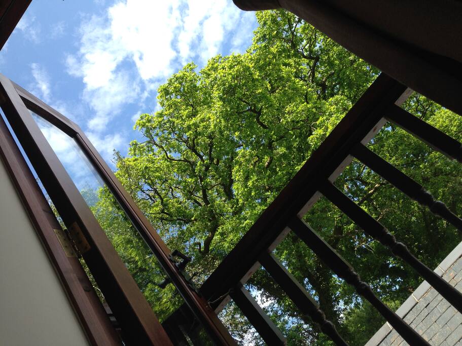 Juliette balcony