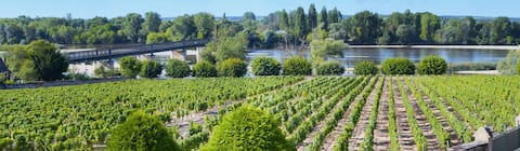 Loire et Vignoble 3-star gîte 122 m2