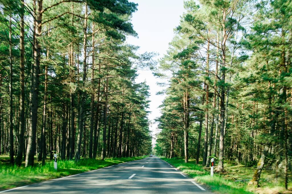 Road to Pervalka