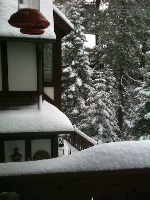 A little chilly for the hummingbirds