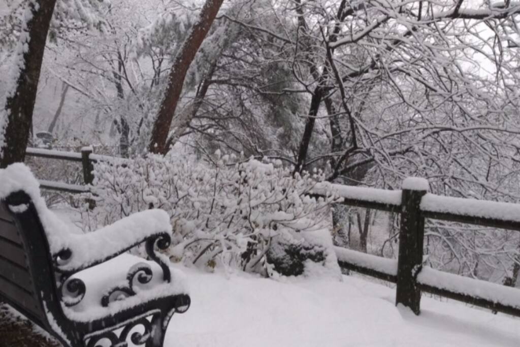The first snow at Namsan in 2018