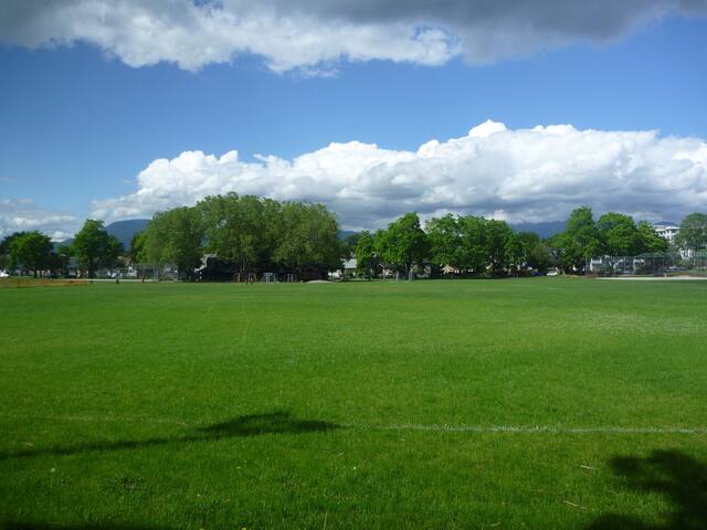 Sunny family-friendly house in Kits gallery image 3