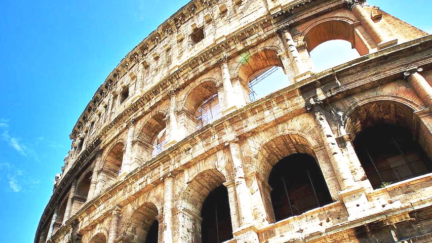 -DOMUSAUREA295 AT THE COLOSSEUM- gallery image 2