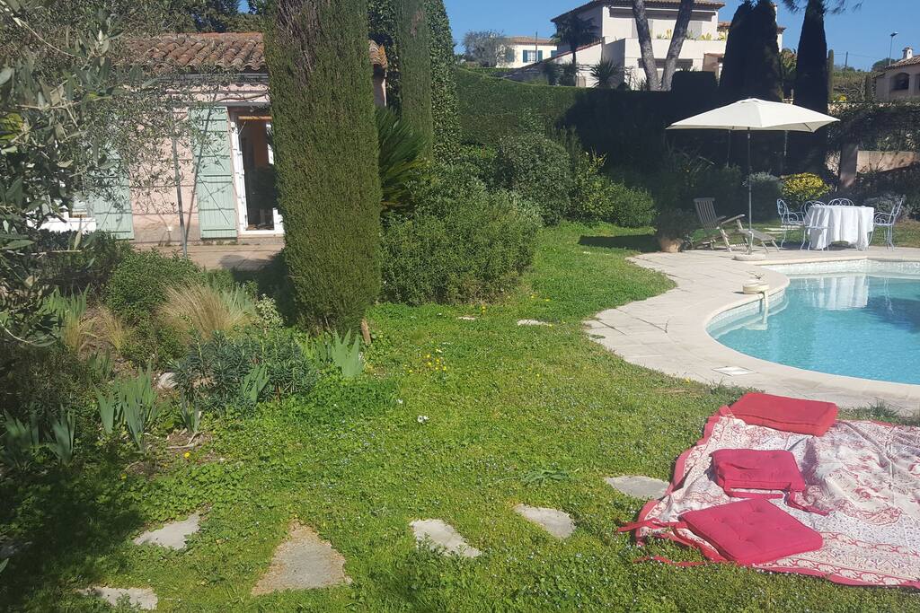 the garden in spring