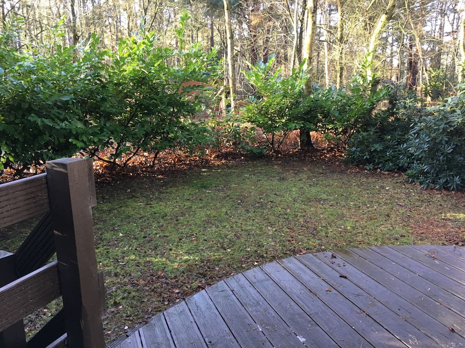 South west facing decking