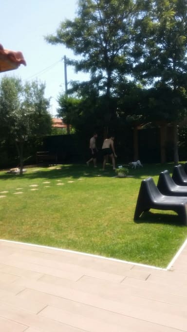 garden view