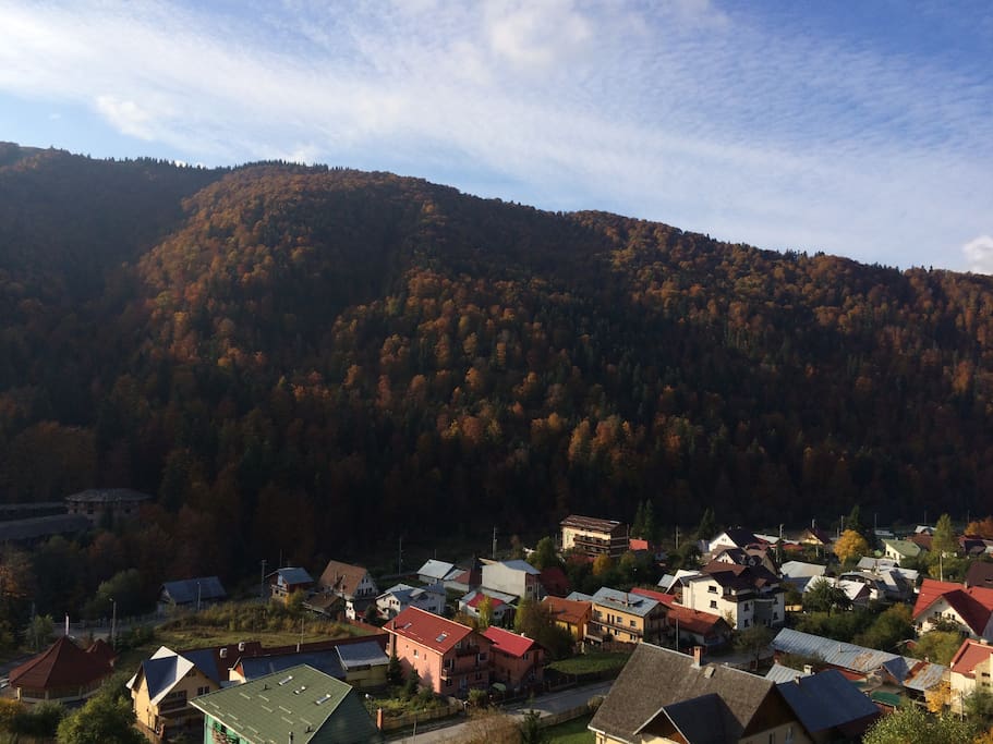 View from the terrace