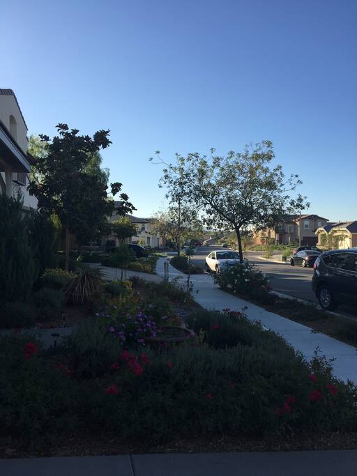 Front street