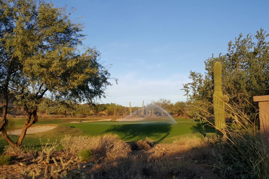 View from back Patio