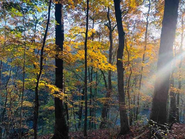 Airbnb Oak Ridge Vacation Rentals Places To Stay