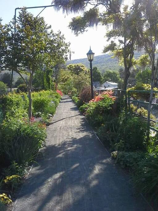 The Bridge of flowers In Bloom From June To November Picture Perfect!