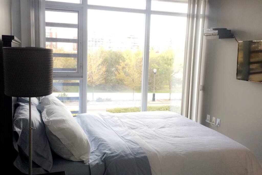 First Room, Great view of the park
