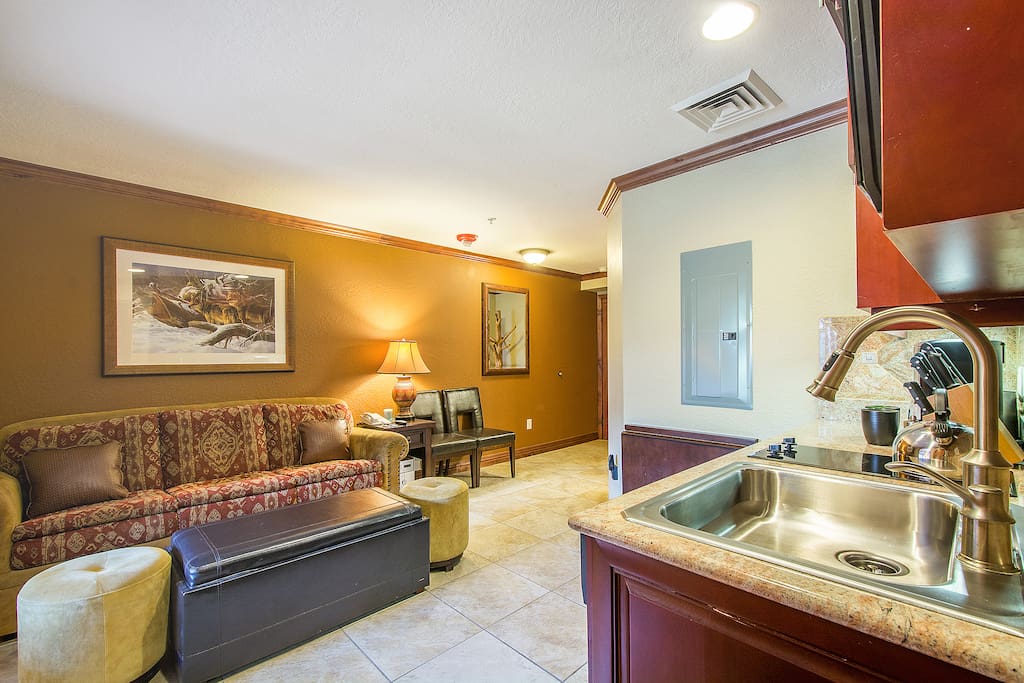 This Oversized Studio Suite gives you more room than normal!
Sofa Sleeper in living room
