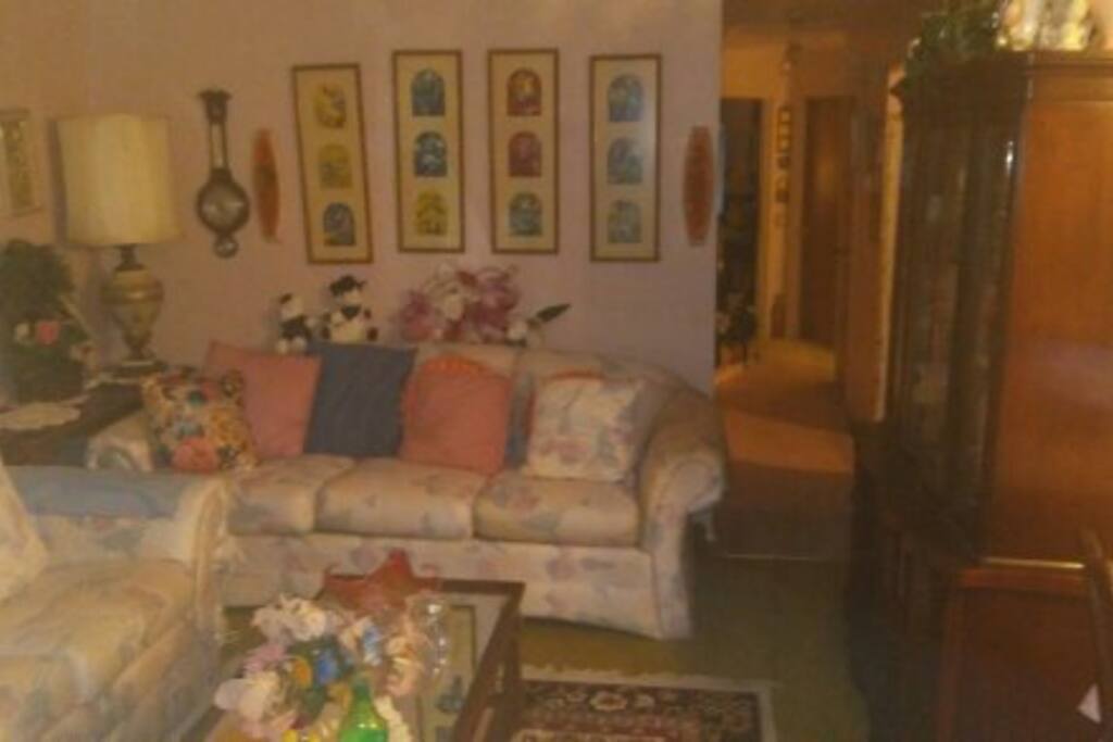 livingroom and the hallway