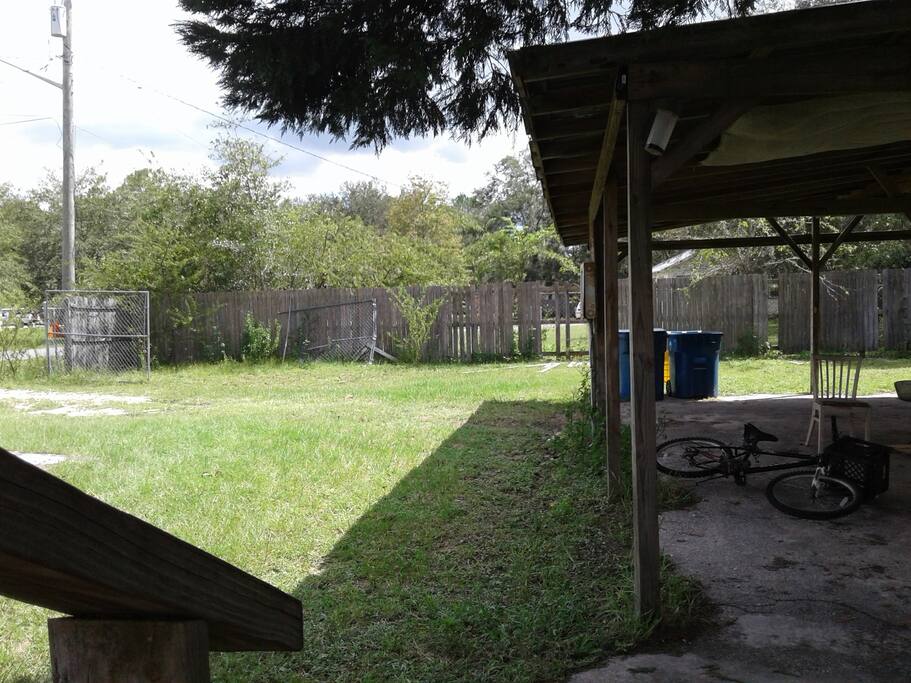 Back yard