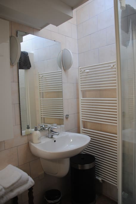 Toilet en douche op de kamer