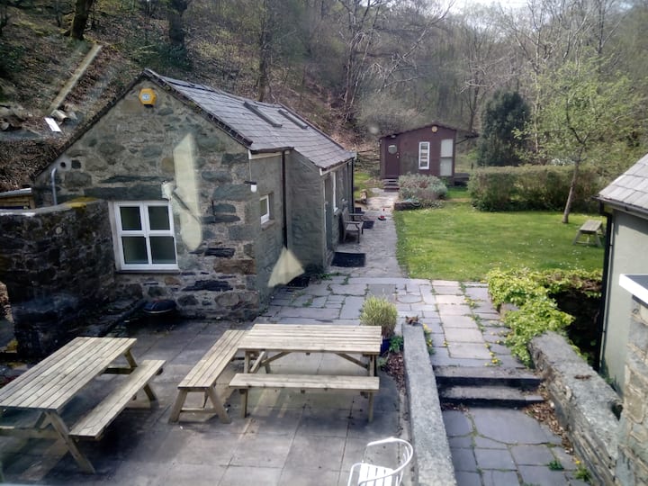 View from single room window of the garden annexe rooms