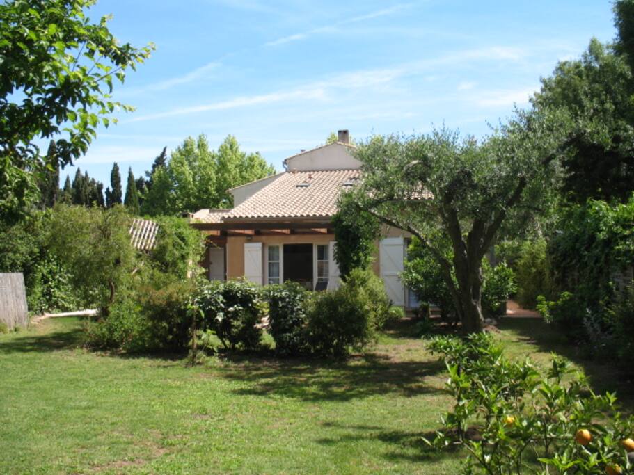 Vue du fond du jardin