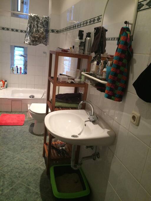 Large shower, toilet, ample shelving, mirror, large sink
--Not included in picture: large towel heater