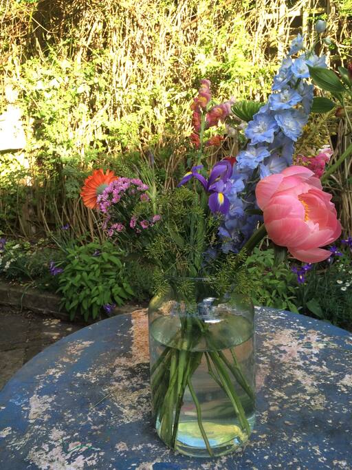 Sunday lights in Henning St garden