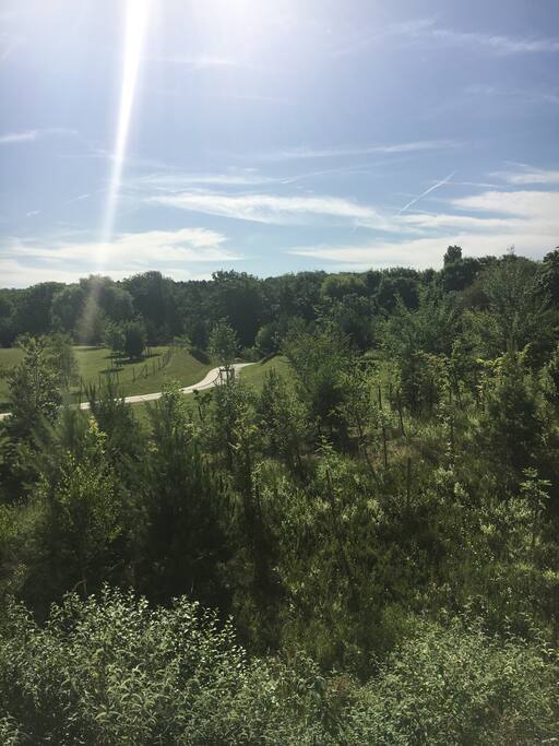 Vue depuis la chambre