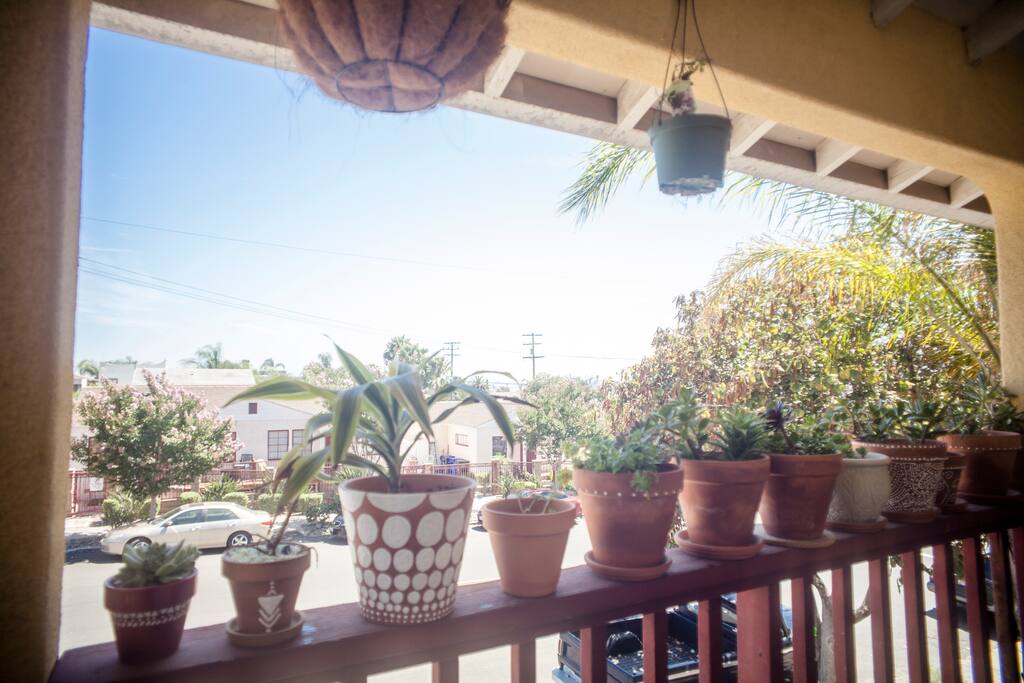 View from the patio