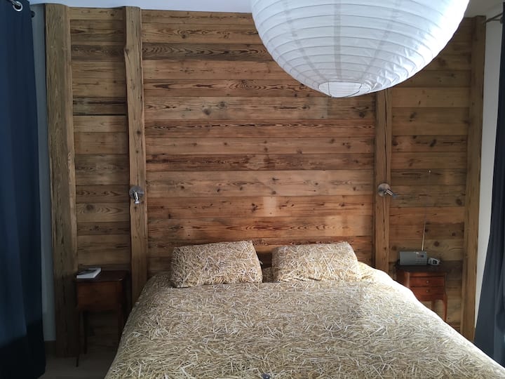 Quarto 1