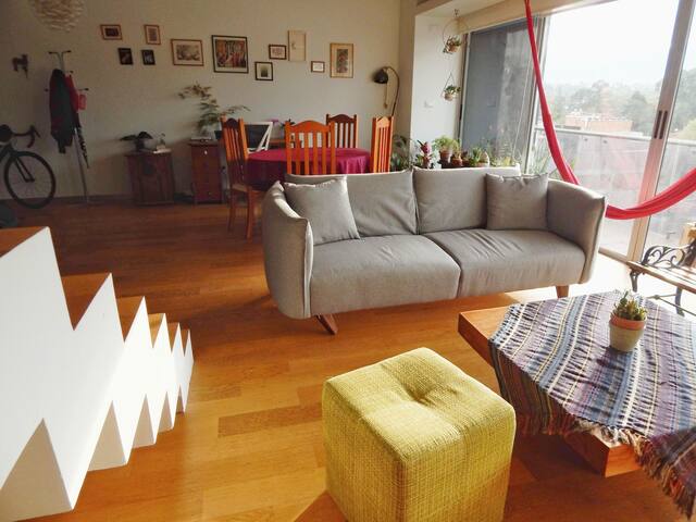 Airbnb Tlacopac Vacation Rentals Places To Stay Ciudad De