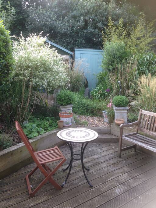 back garden (view from window)
