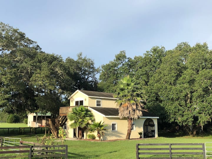 Morriston Vacation Rentals & Homes Florida, United States Airbnb